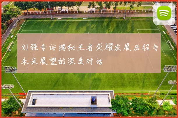 刘强专访揭秘王者荣耀发展历程与未来展望的深度对话