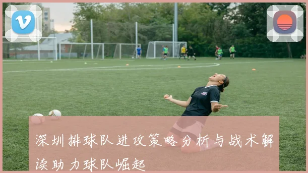 深圳排球队进攻策略分析与战术解读助力球队崛起